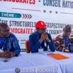 EN CONSEIL EXTRAORDINAIRE À COTONOU : Le parti LD définit sa ligne face à la trêve politique