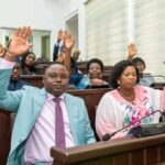 ASSEMBLÉE NATIONALE : Les députés adoptent la loi de règlement du budget 2024